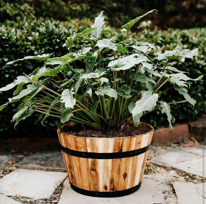 Villa Acacia Round Wooden Planters (Set of 2) 18" and 15" Whisky Barrel Planters