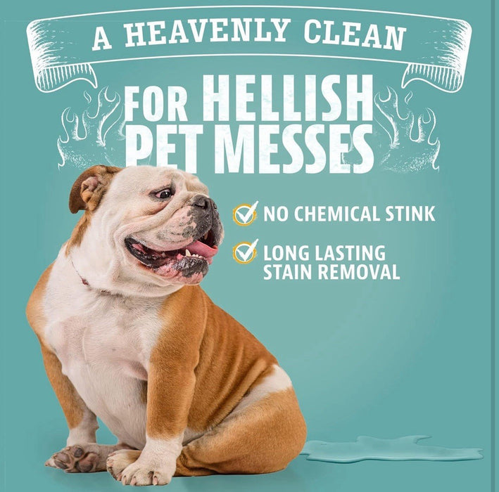 Angry Orange Stain Remover , 32oz Enzyme Pet Cleaner , Dog & Cat Urine Destroyer
